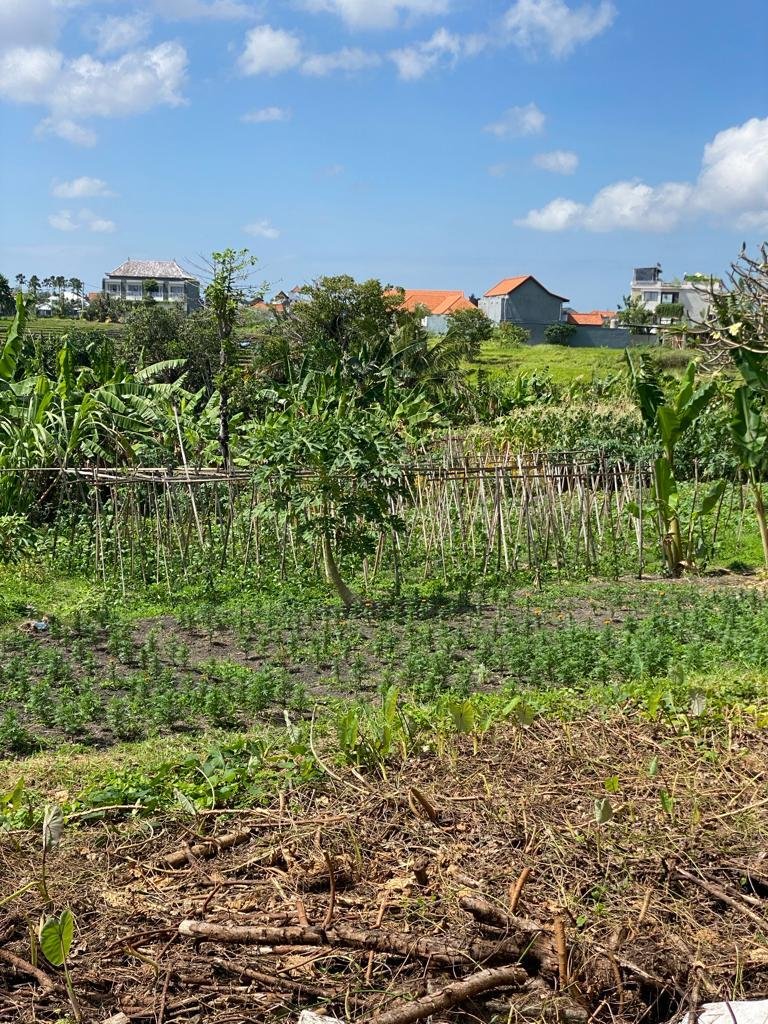Land in Kuta Utara, Bali, Indonesia 4 - 15985497
