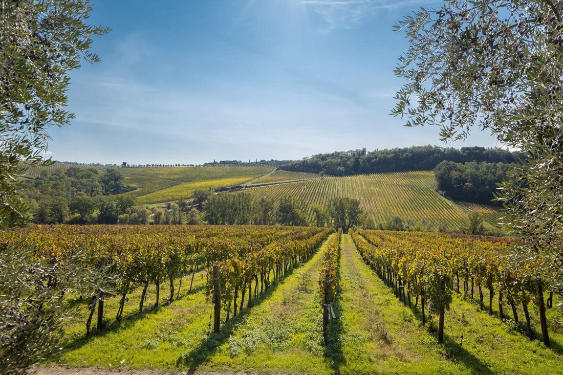 The Oak Palace: A Tuscan Crown of Vineyards, Stone & Sky