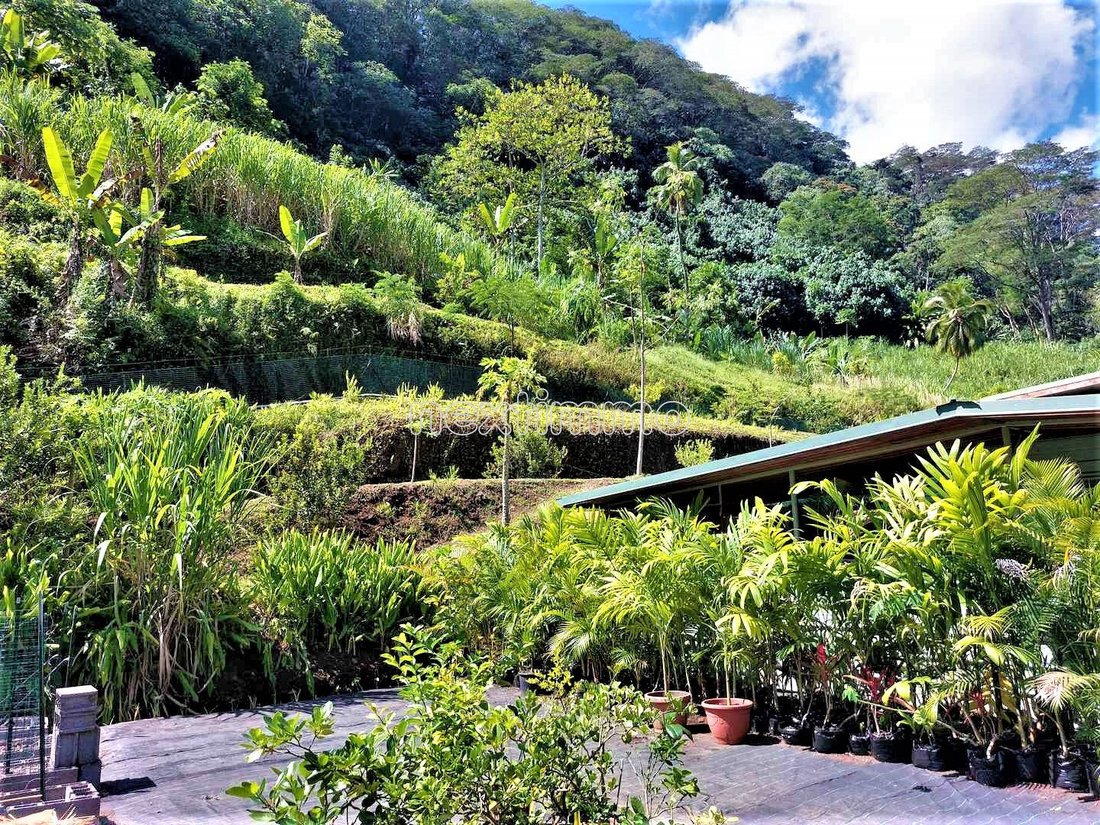 Villa à Taiarapu-Ouest, Îles du Vent, Polynésie française 2 - 12846866