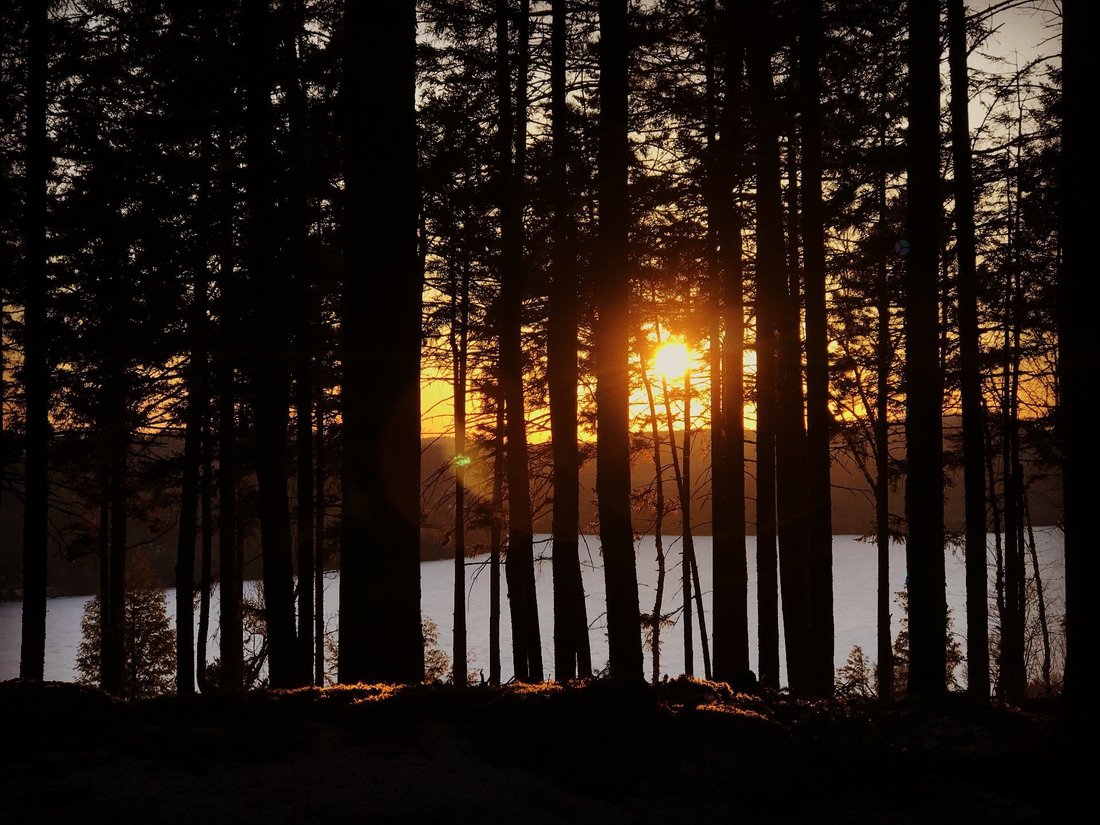 Land in Mont-Tremblant, Quebec, Canada 4 - 15989550