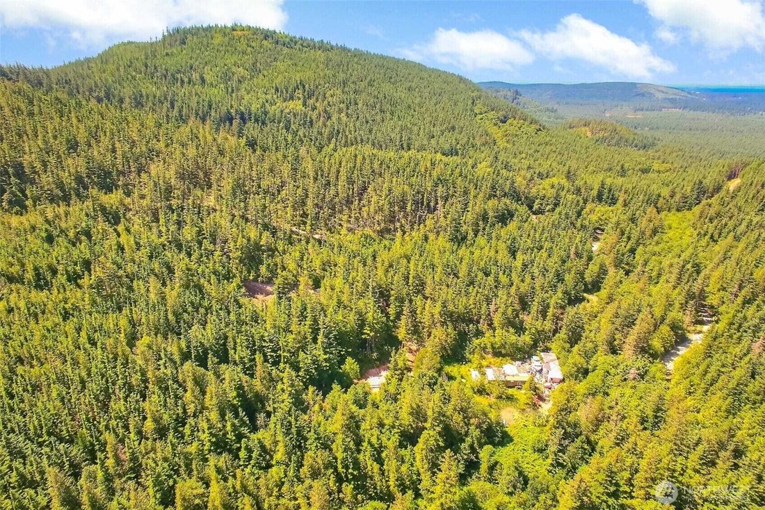 House in Ravensdale, Washington, United States 5 - 15988945