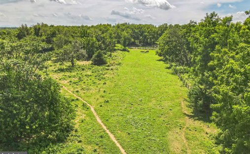 Land in Berryville, Virginia, United States 1