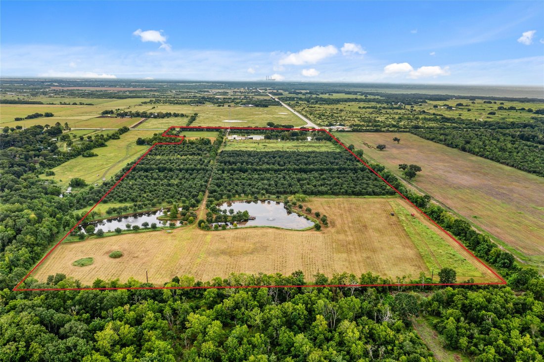 Azienda agricola a Damon, Texas, Stati Uniti 3 - 15607413