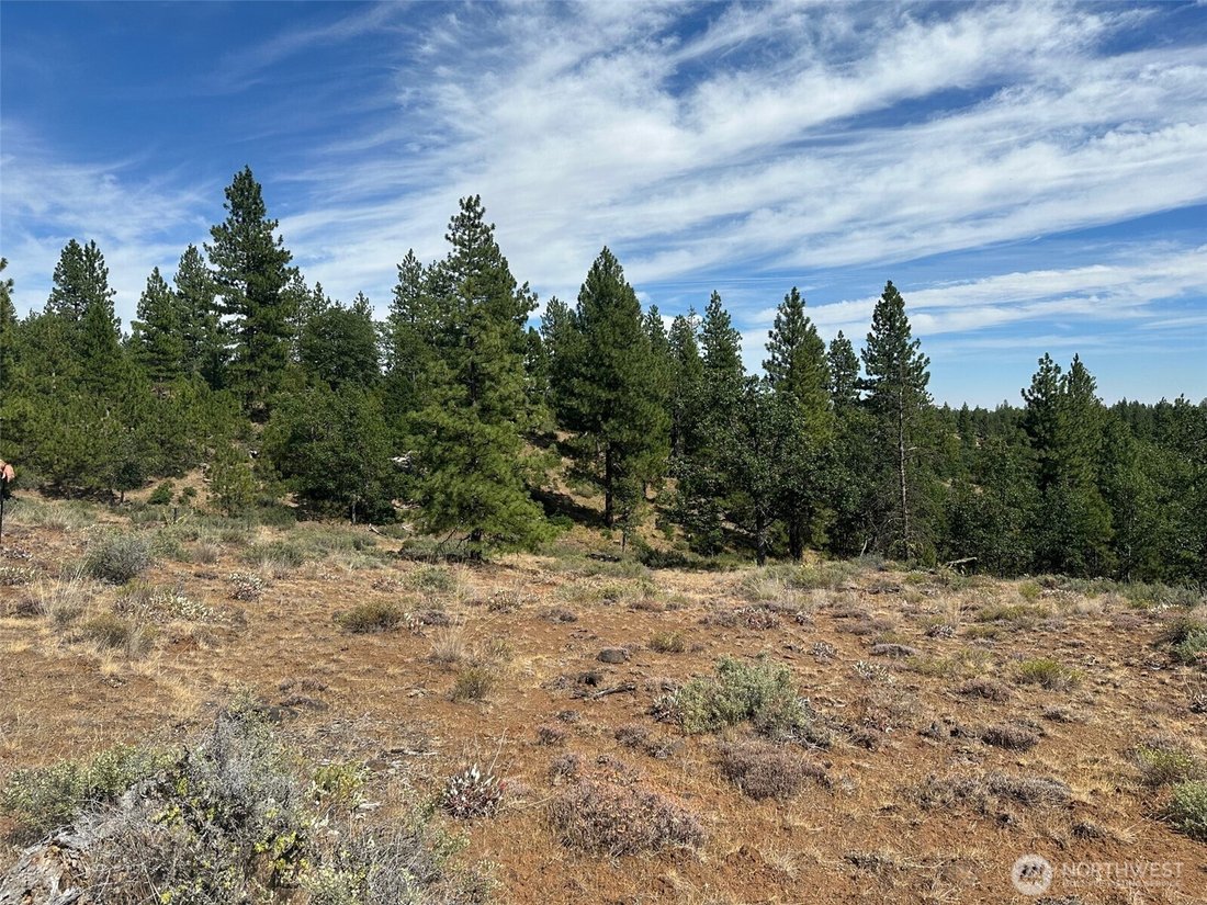 Land in Goldendale, Washington, United States 3 - 15938354