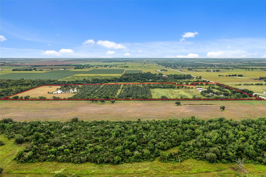 Azienda agricola a Damon, Texas, Stati Uniti 4 - 15607413