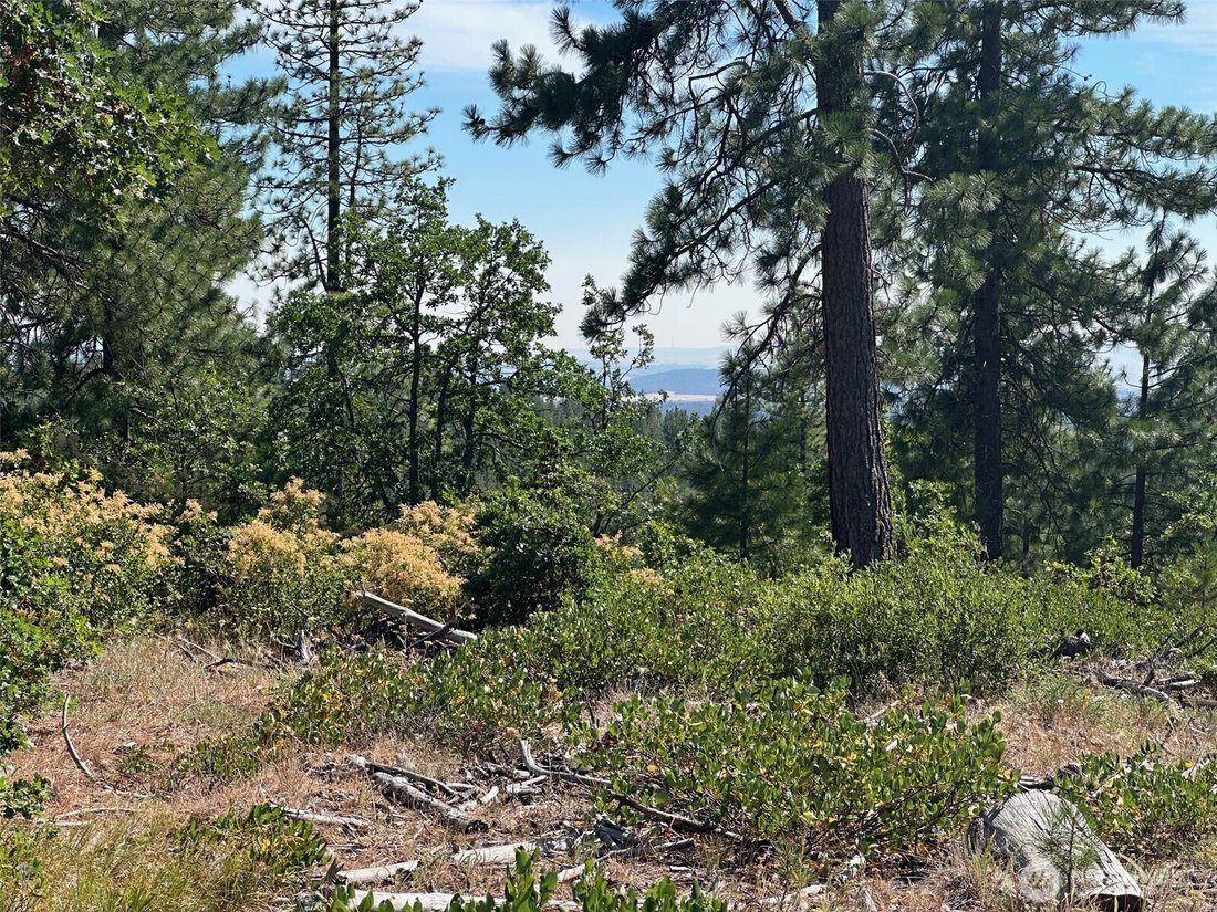 Land in Goldendale, Washington, United States 4 - 15938354