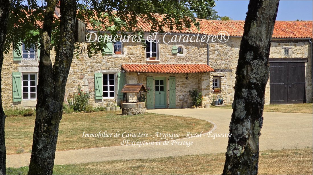 Castle in Sainte-Hermine, Pays de la Loire, France 1 - 15989265