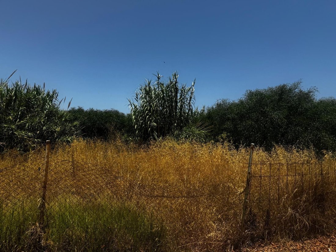Land in La Linea de la Concepcion, Andalusia, Spain 1 - 15989501