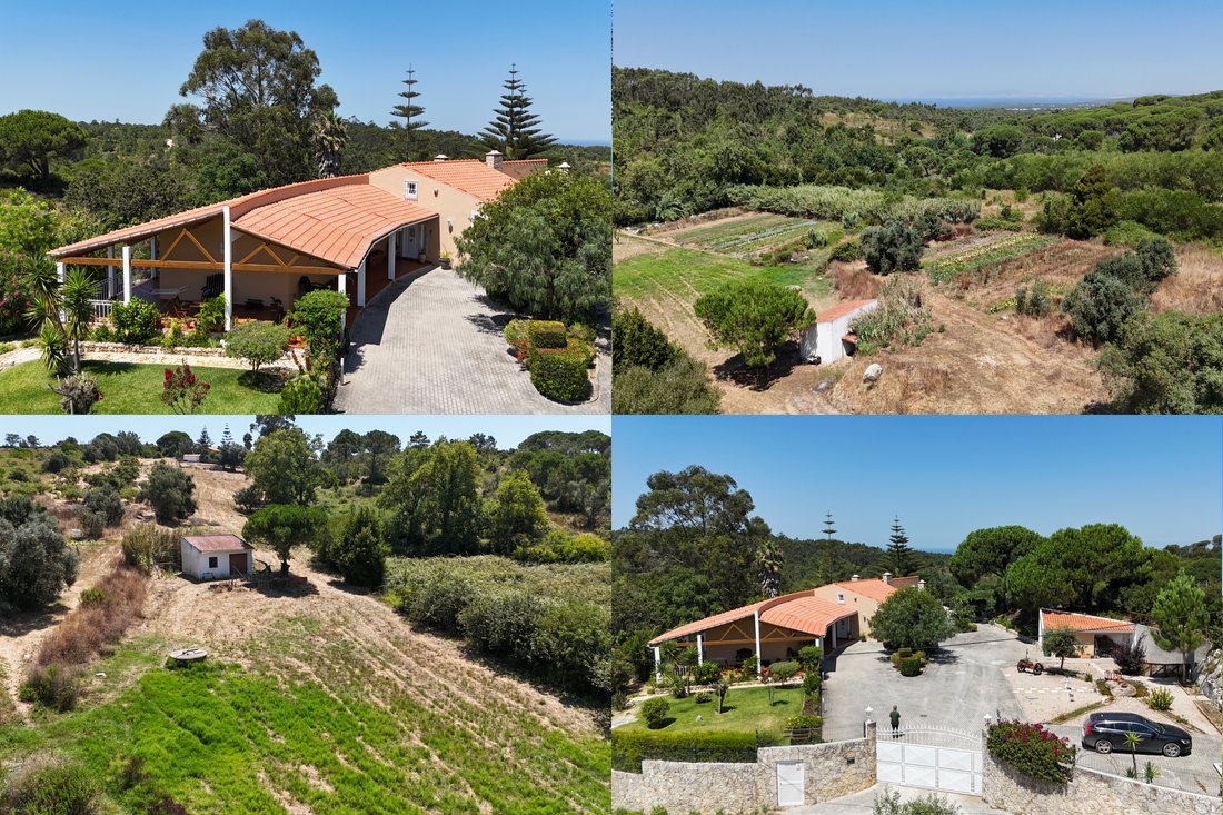Farm Ranch in Sesimbra (Castelo), Setubal, Portugal 1 - 14263526