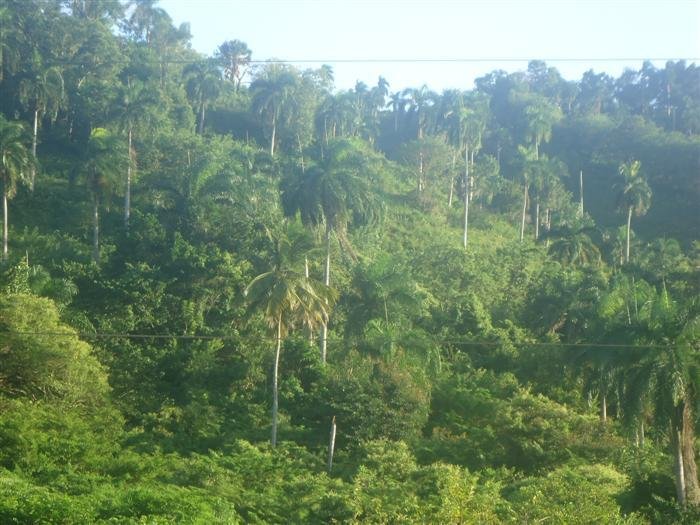 Land in Sosúa, Puerto Plata Province, Dominican Republic 5 - 15990458