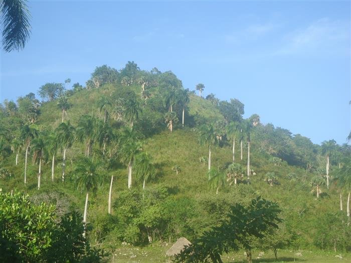 Land in Sosúa, Puerto Plata Province, Dominican Republic 3 - 15990458