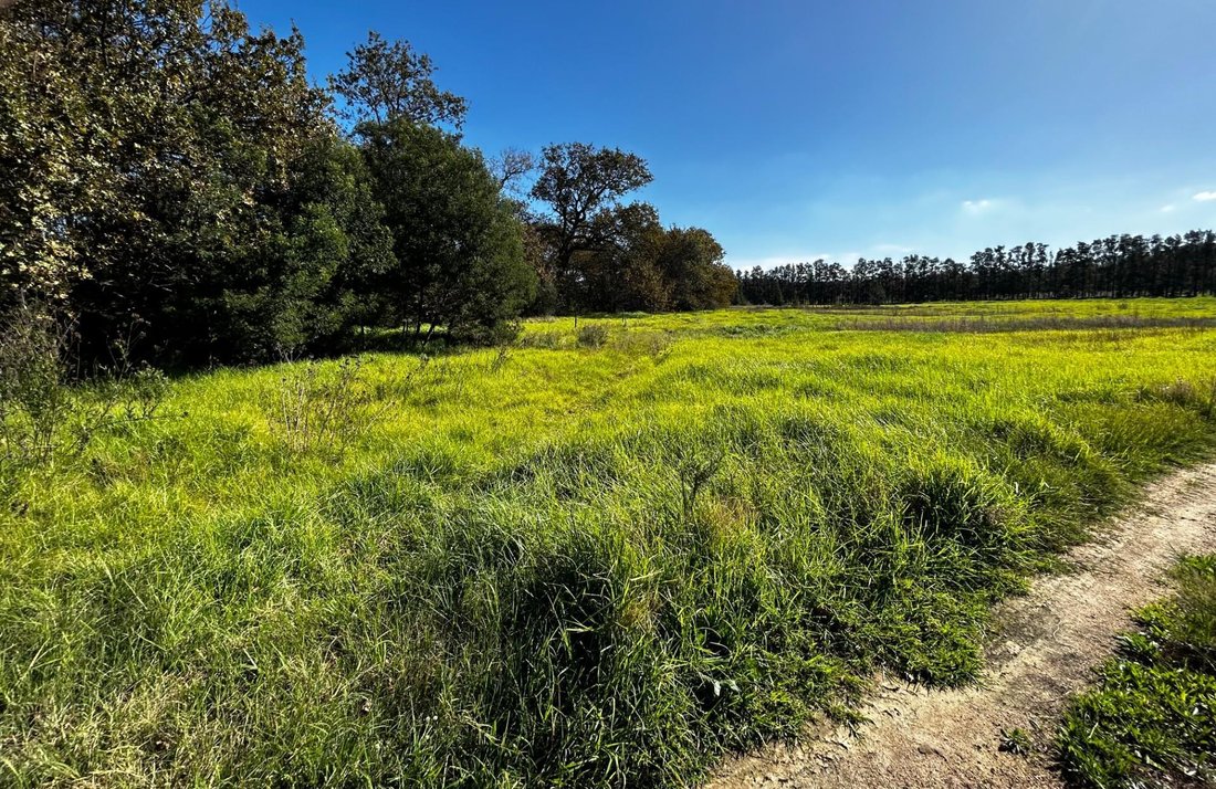 Land in Stellenbosch Farms, Western Cape, South Africa 2 - 15853825
