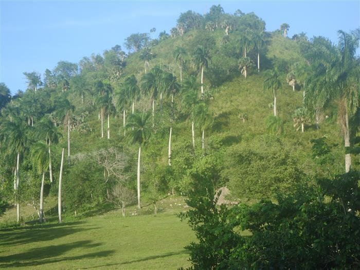 Land in Sosúa, Puerto Plata Province, Dominican Republic 1 - 15990458