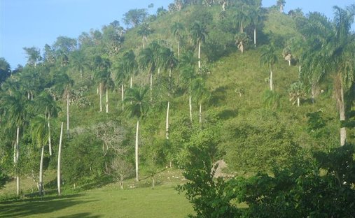 Land in Sosúa, Puerto Plata Province, Dominican Republic 1