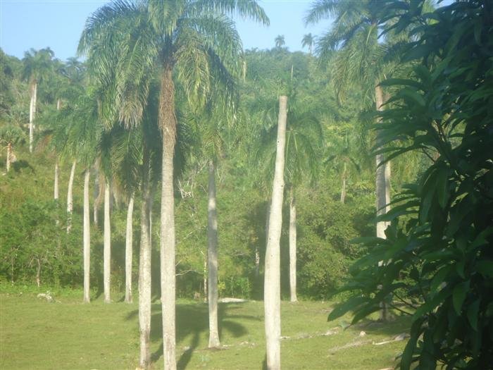 Land in Sosúa, Puerto Plata Province, Dominican Republic 2 - 15990458