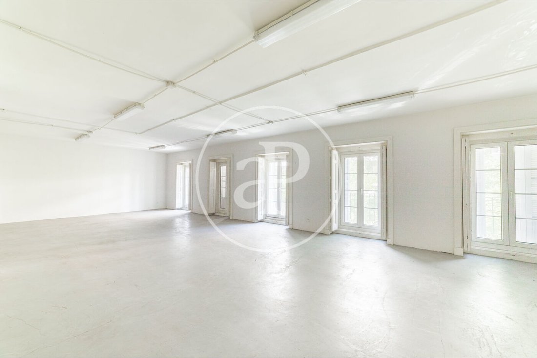 Apartment in Barrio Salamanca, Madrid, Spain 3 - 15990872