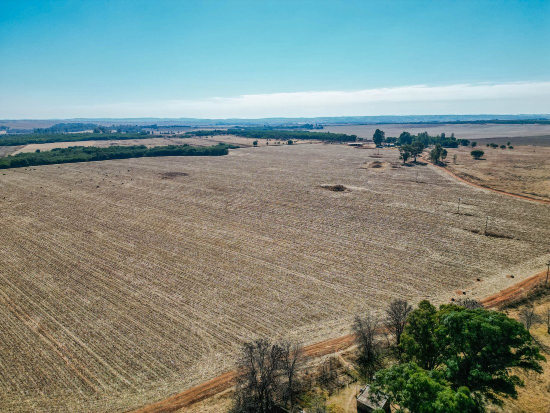 Farm Ranch in Wonderboom, Gauteng, South Africa 5 - 15991491