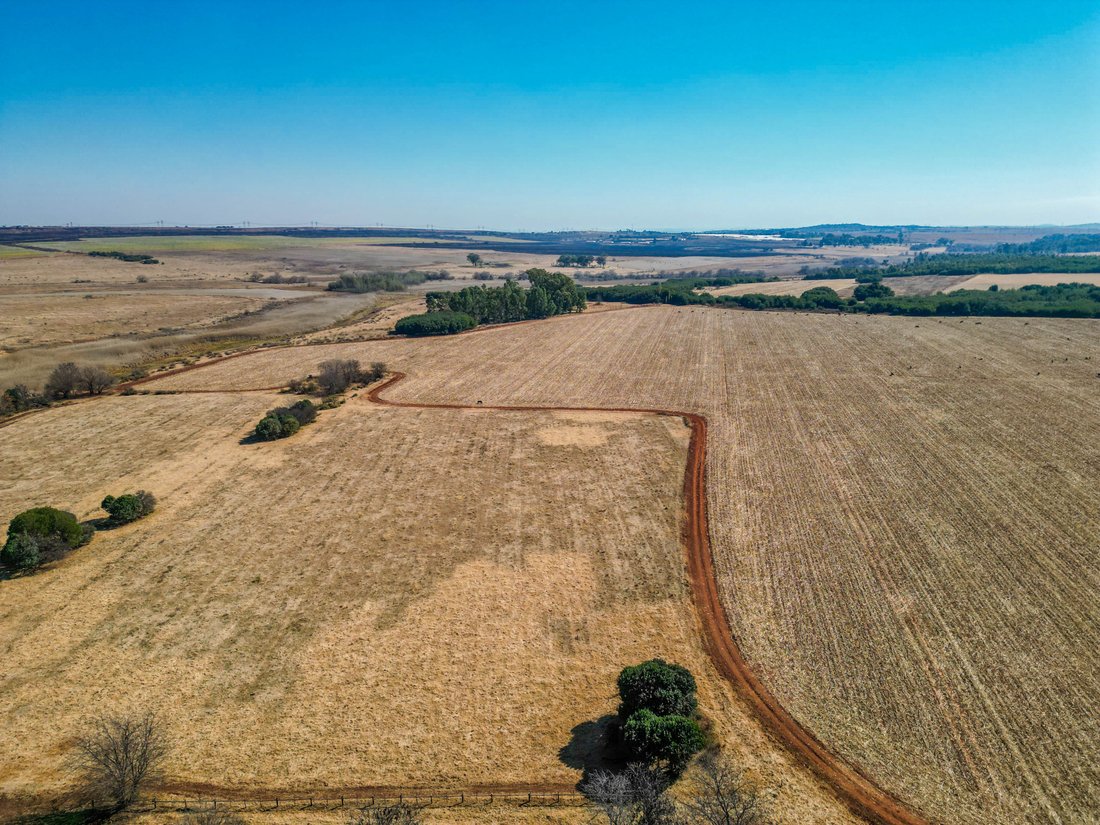 Farm Ranch in Wonderboom, Gauteng, South Africa 4 - 15991491