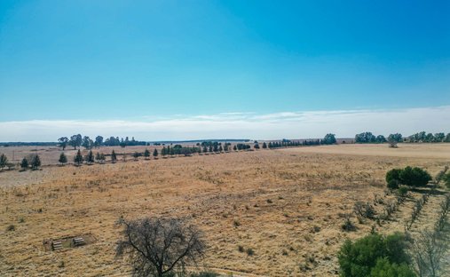Farm Ranch in Pretoria, City of Tshwane Metropolitan Municipality, South Africa 1