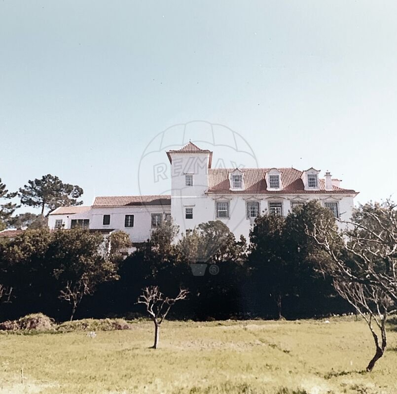 Farm Ranch in Quiaios, Coimbra District, Portugal 5 - 15684446