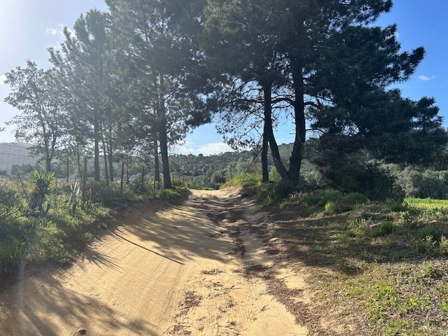 Estate in Setubal, Setubal, Portugal 2 - 15991389
