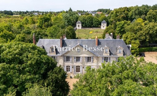 Castle in Grammont, Tours, France 1