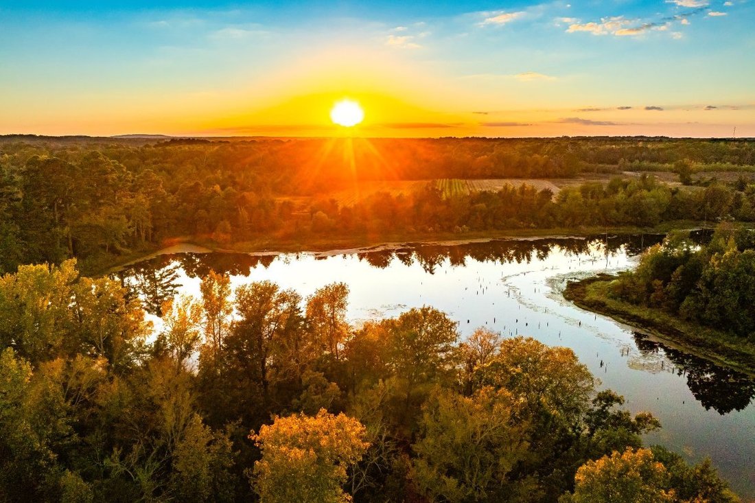 Farm Ranch in Chandler, Texas, United States 3 - 15993038