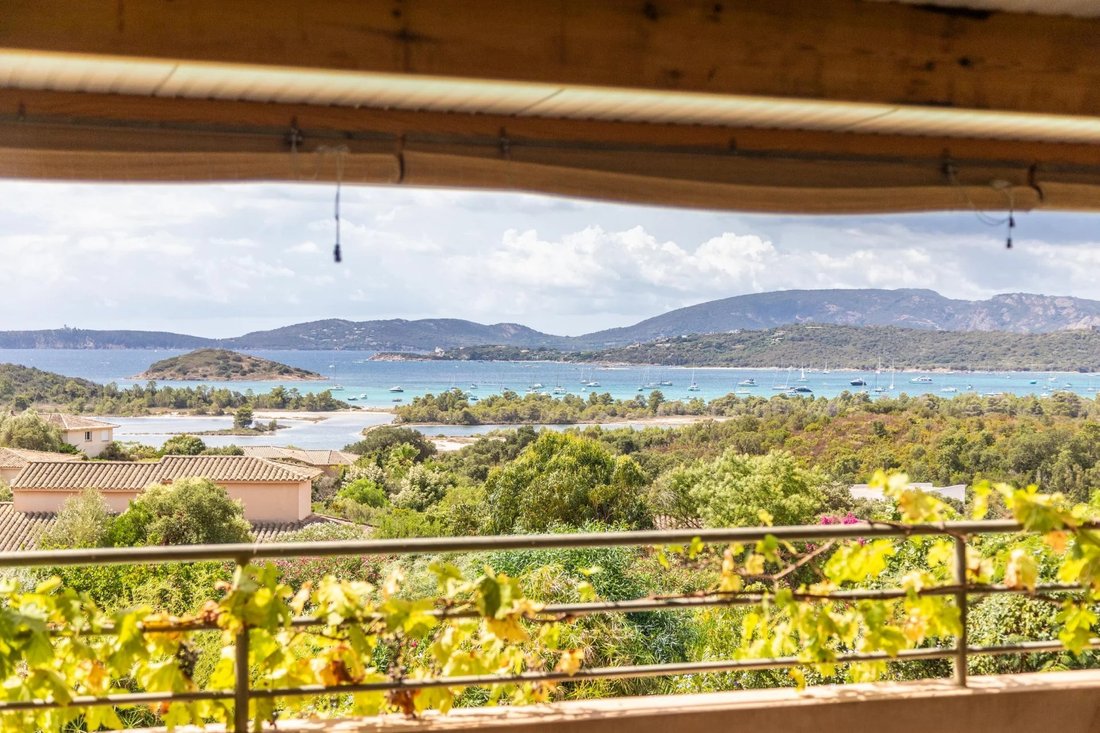 House in Zonza, Corsica, France 4 - 15993315