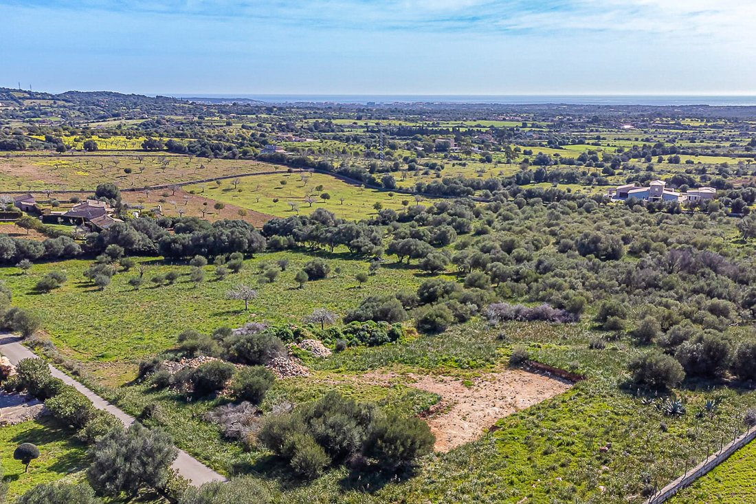 Land in Manacor, Balearic Islands, Spain 3 - 15992681