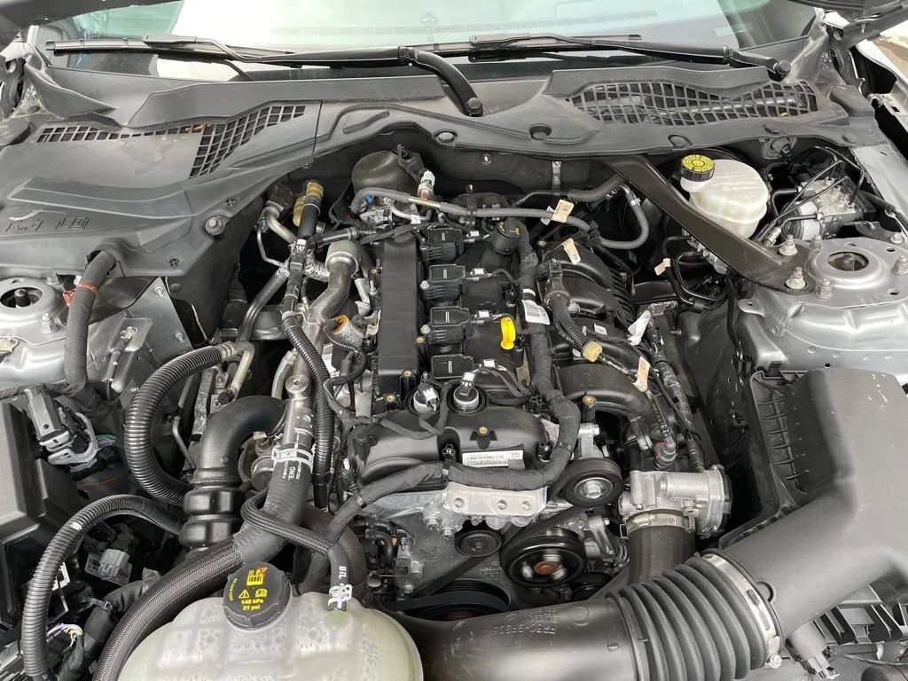 Cabriolet in San Antonio, TX, United States 2 - 13192963