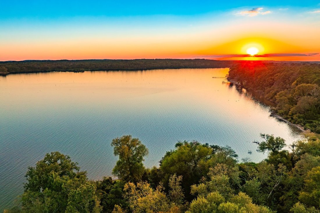 Farm Ranch in Chandler, Texas, United States 1 - 15993038