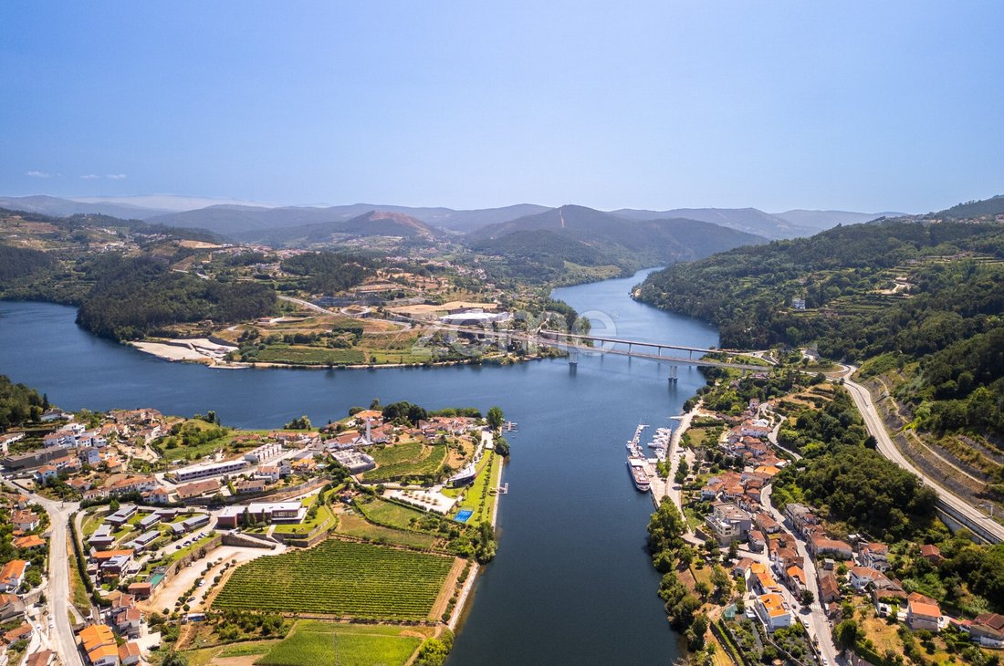 Finca a Eja, Oporto, Portogallo 4 - 15994141