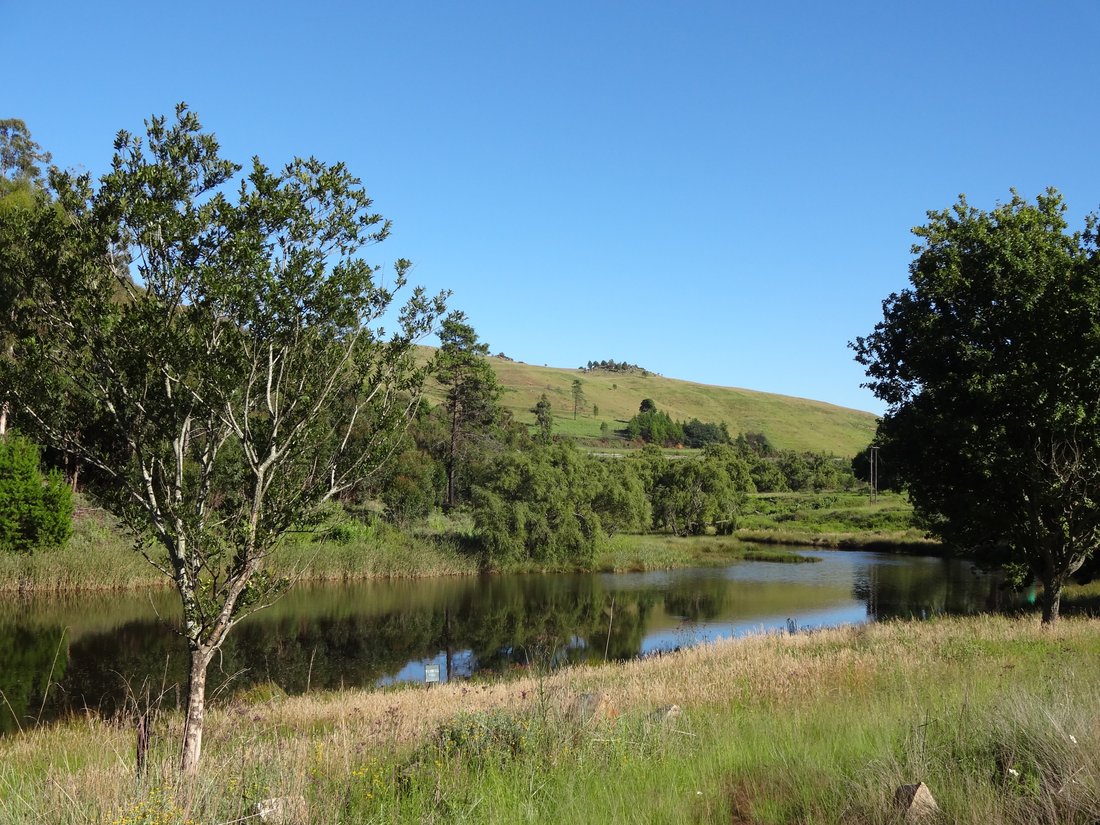 Farm Ranch in Emakhazeni Local Municipality, Mpumalanga, South Africa 3 - 15816269