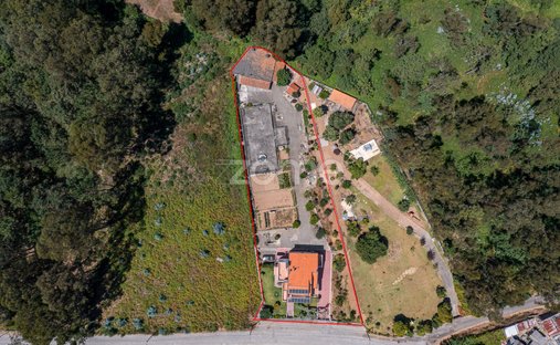 House in Grijo e Sermonde, Porto District, Portugal 1