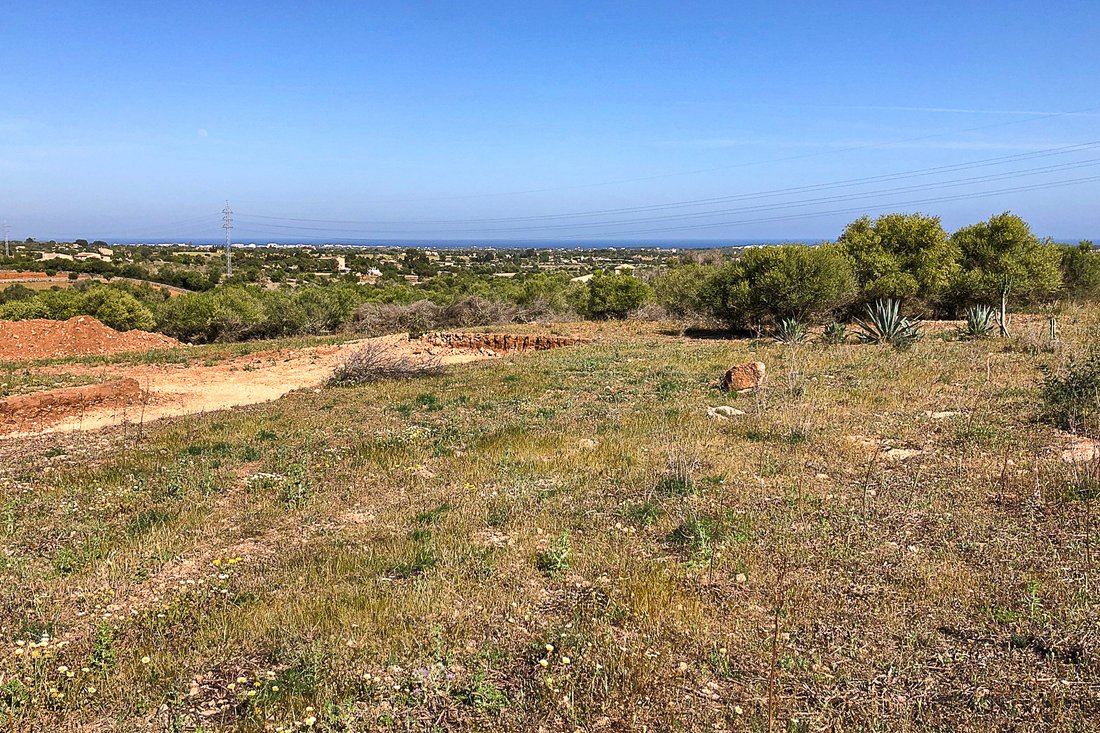 Land in Manacor, Balearic Islands, Spain 5 - 15992681