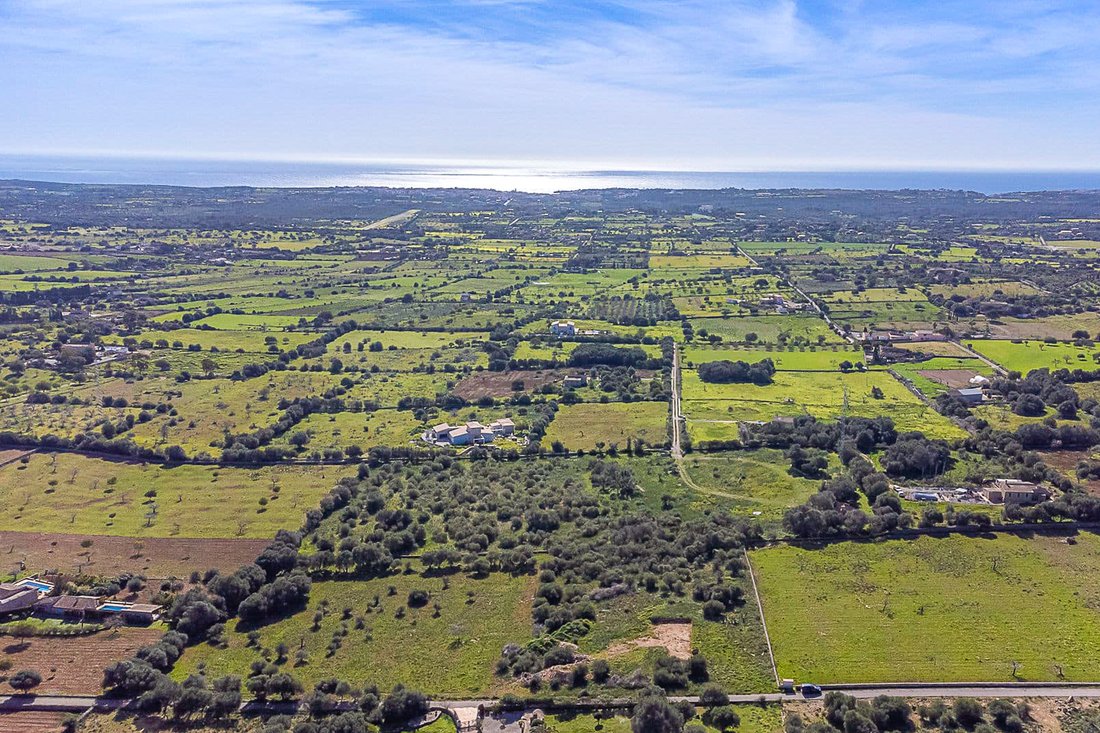 Land in Manacor, Balearic Islands, Spain 4 - 15992681
