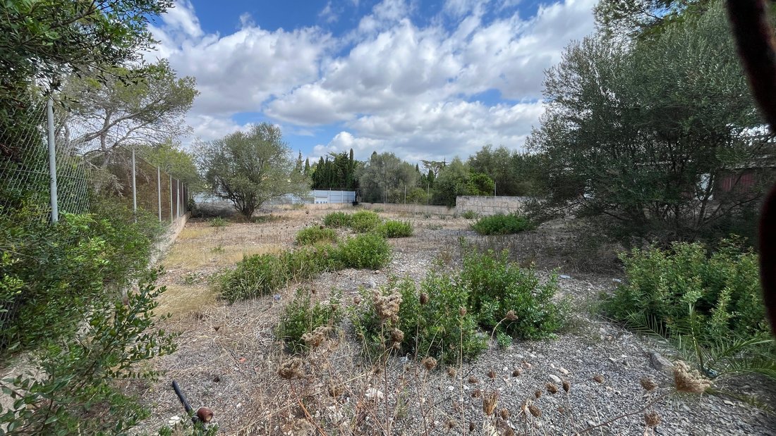 Land in Manacor, Balearic Islands, Spain 3 - 15312312