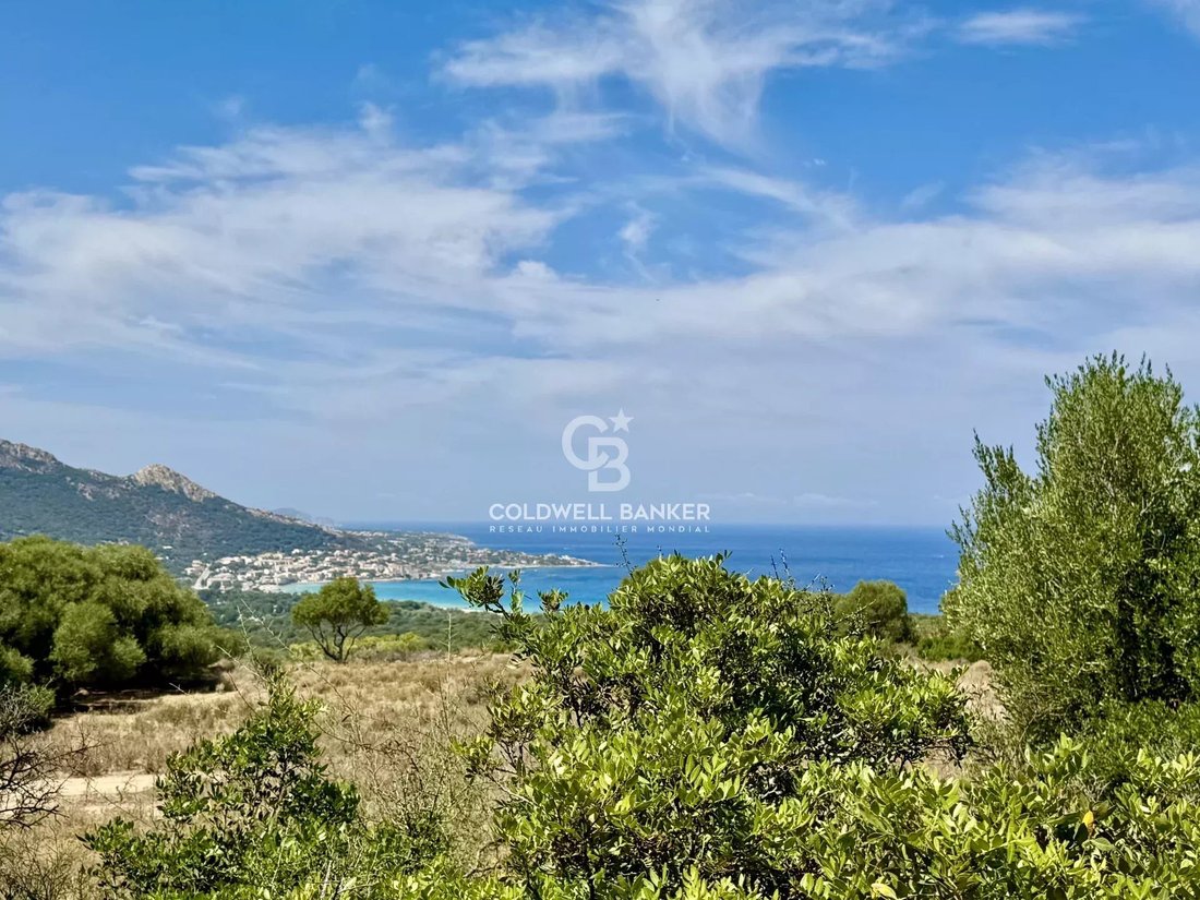 Land in Corbara, Corsica, France 3 - 15461811