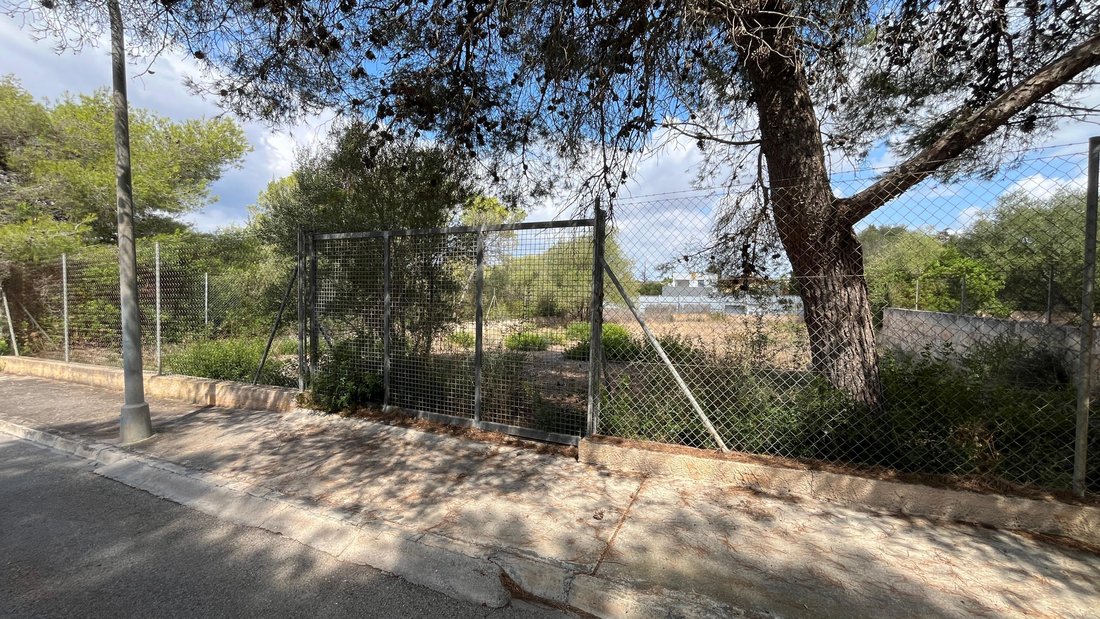 Land in Manacor, Balearic Islands, Spain 4 - 15312312