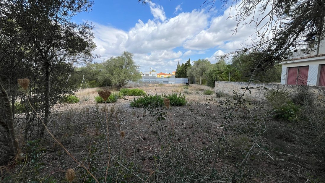 Land in Manacor, Balearic Islands, Spain 5 - 15312312
