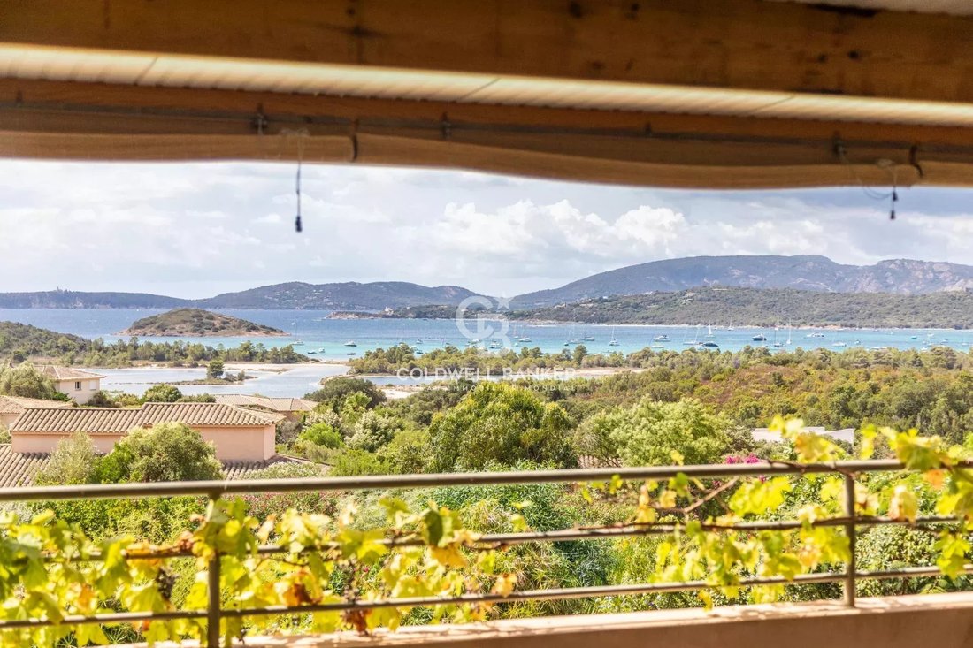Villa in Zonza, Corsica, France 4 - 15993875
