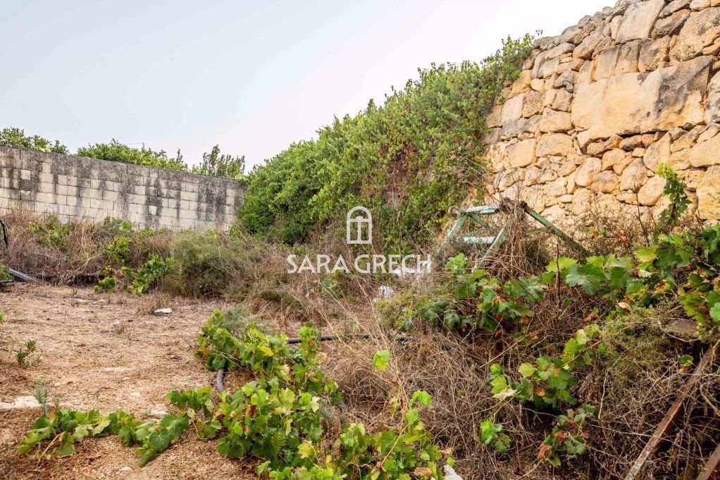 Bungalow in Gudja, Malta 3 - 15996358