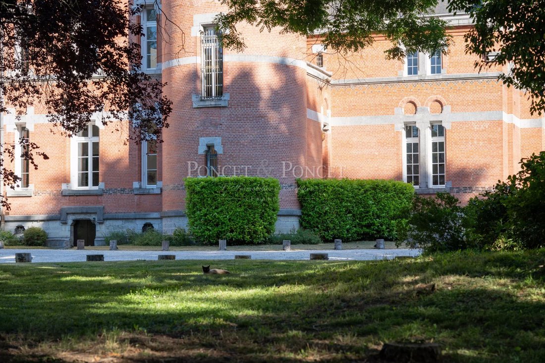 Château Saint-Michel: A 19th-Century Dream Woven in Time & Nature’s Grandeur - 5