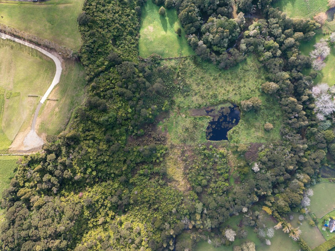 Land in Auckland, Auckland, New Zealand 4 - 15996736