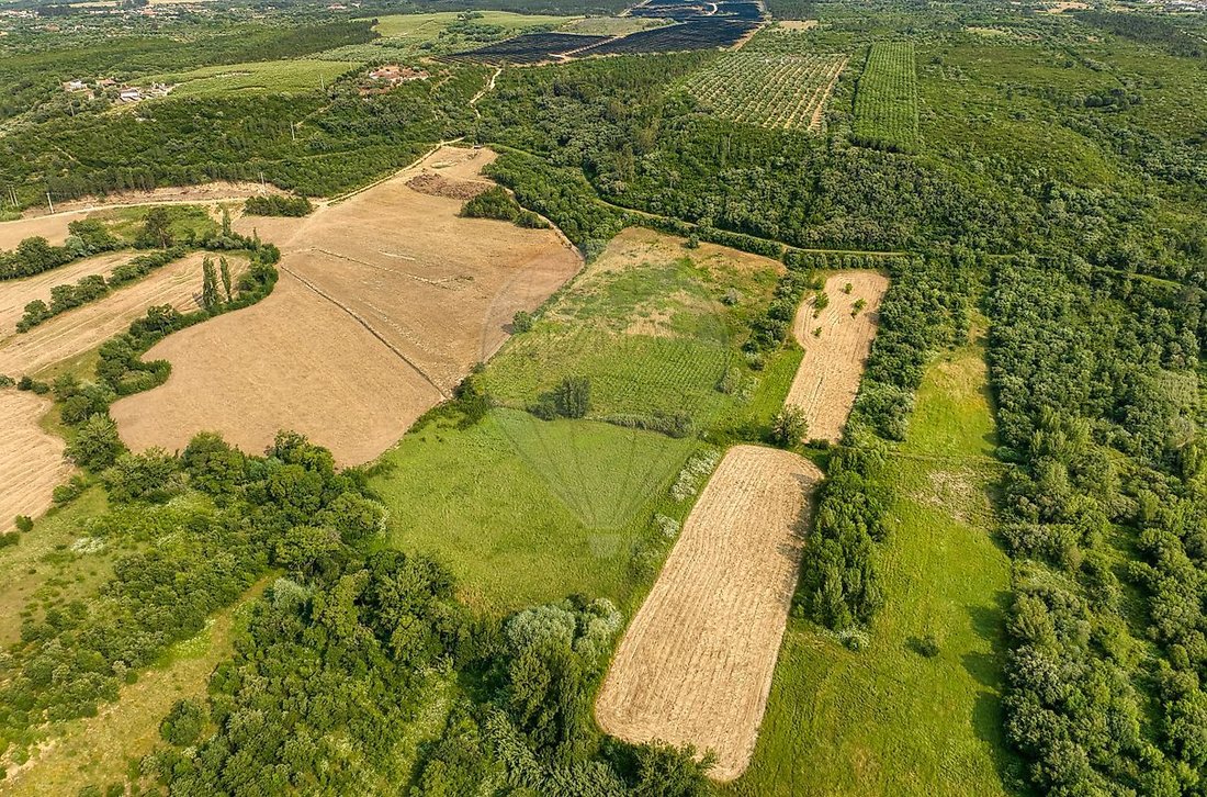 Finca in Almoster, Santarem District, Portugal 4 - 15996130