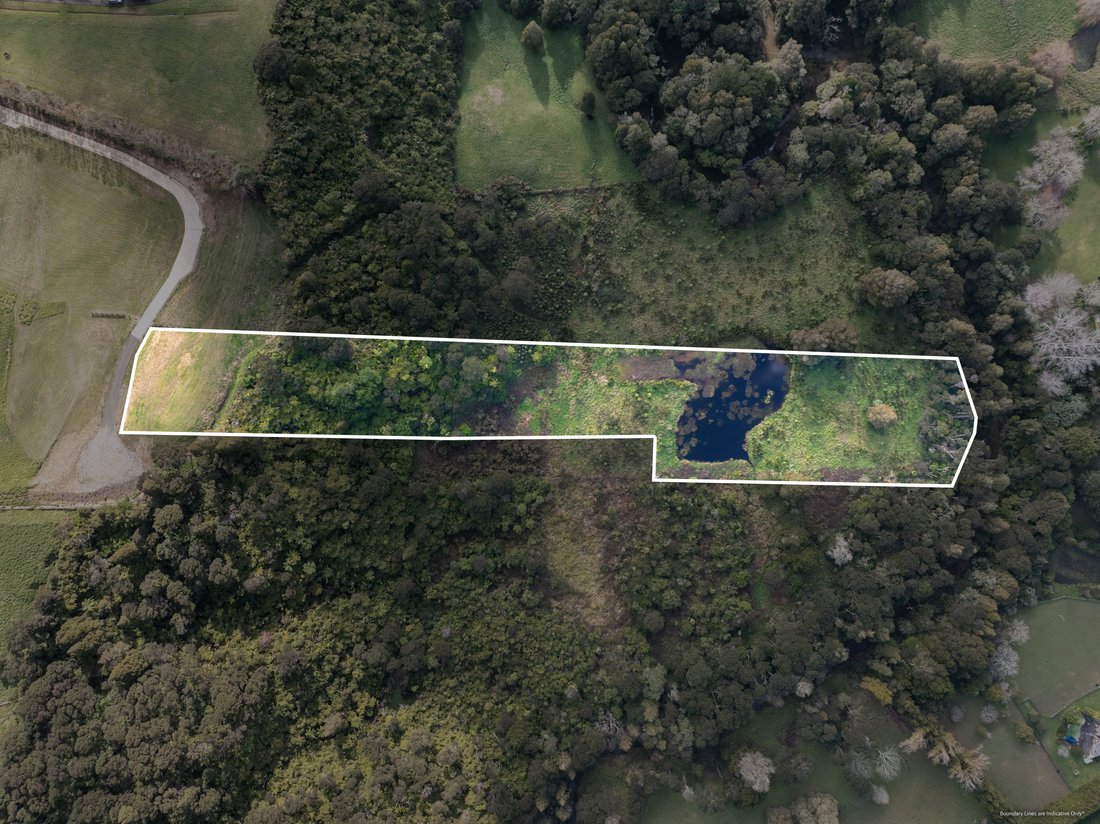 Land in Auckland, Auckland, New Zealand 5 - 15996736
