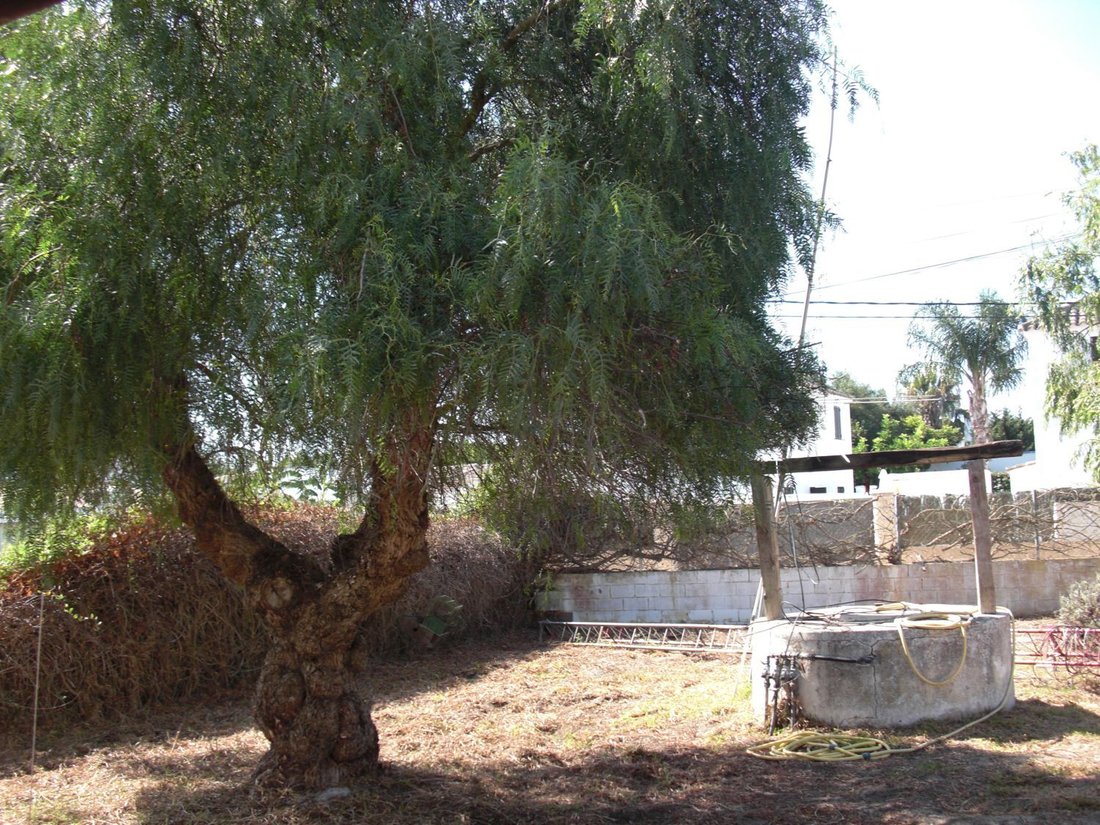 Chalet in Barbate, Andalusia, Spain 2 - 15996589