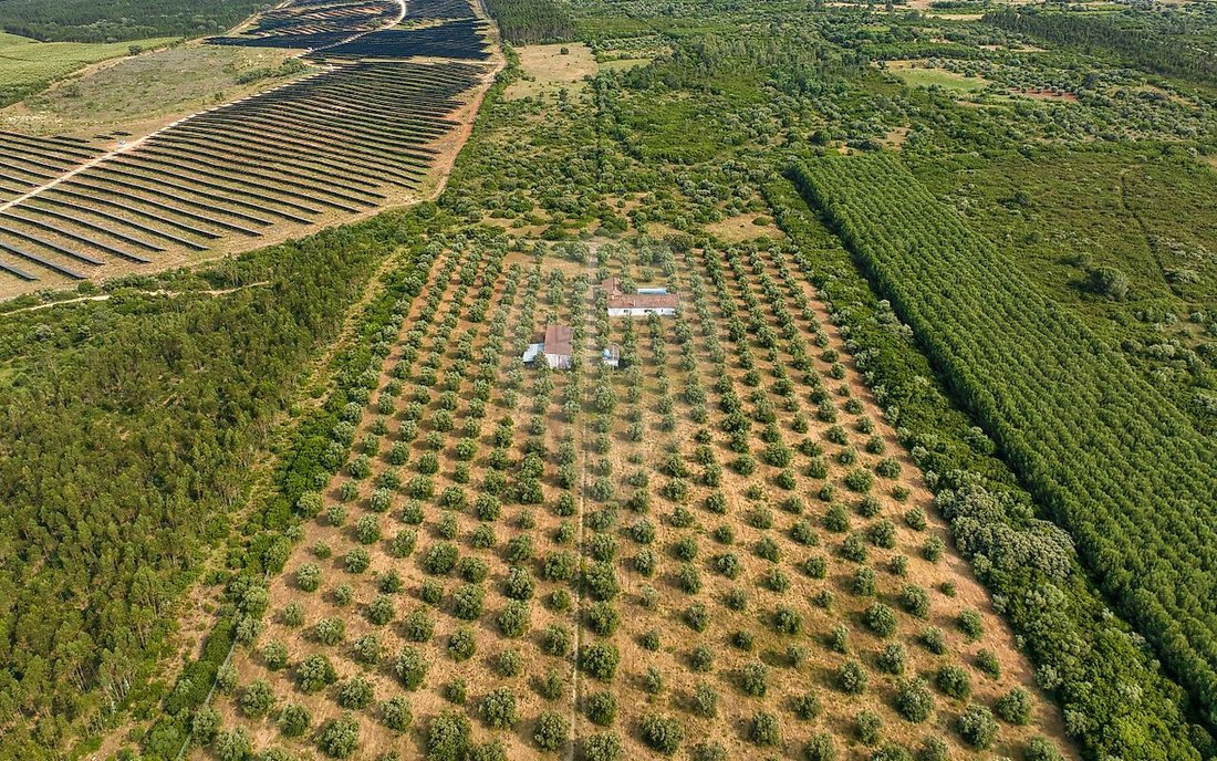 Finca in Almoster, Santarem District, Portugal 5 - 15996130