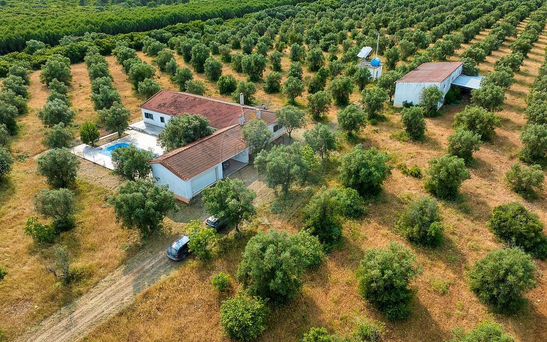 Finca in Almoster, Santarem District, Portugal 1 - 15996130