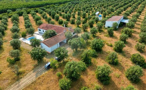 Finca à Almoster, District de Santarém, Portugal 1